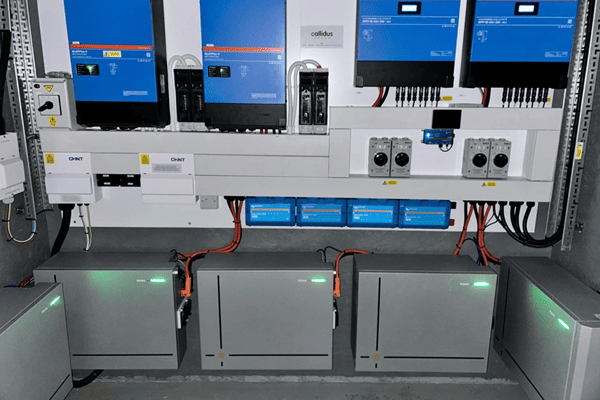 1769067681123867.png V12-2.png