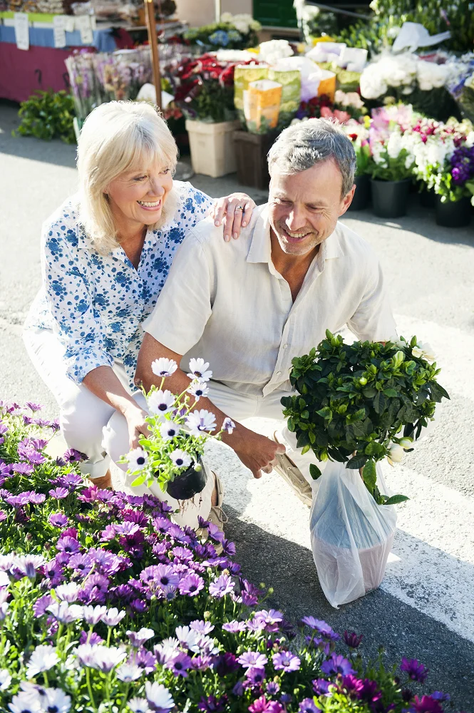 Energy Storage System Powers Every Flower to Bloom